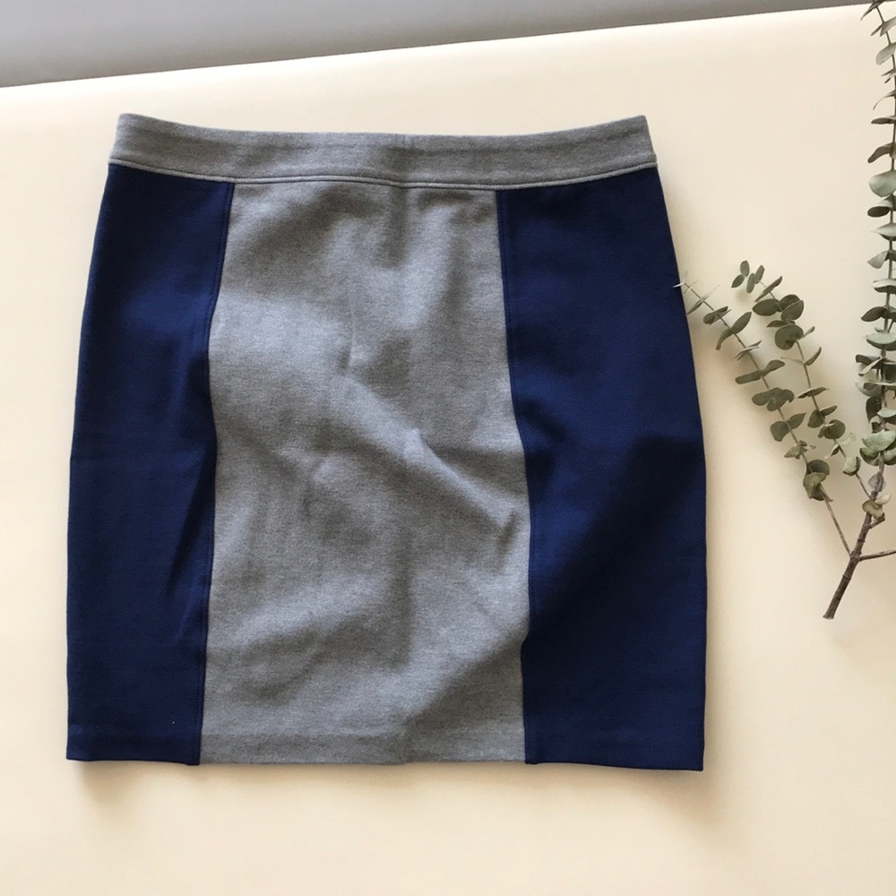 EUC Club Monaco Skirt